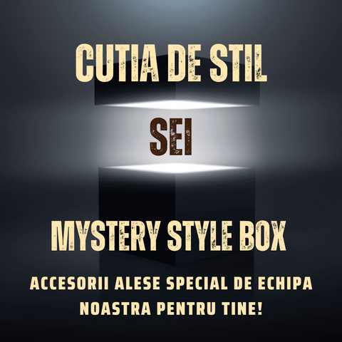 Mystery Style Box Abonament Lunar Sei Set Accesorii pentru Barbati
